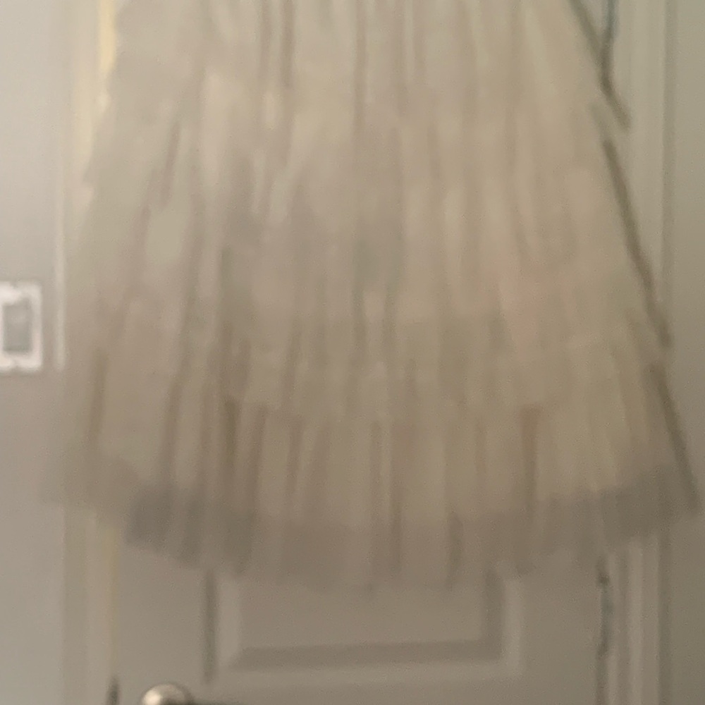 Elegant Cream Tulle Skirt BCBG